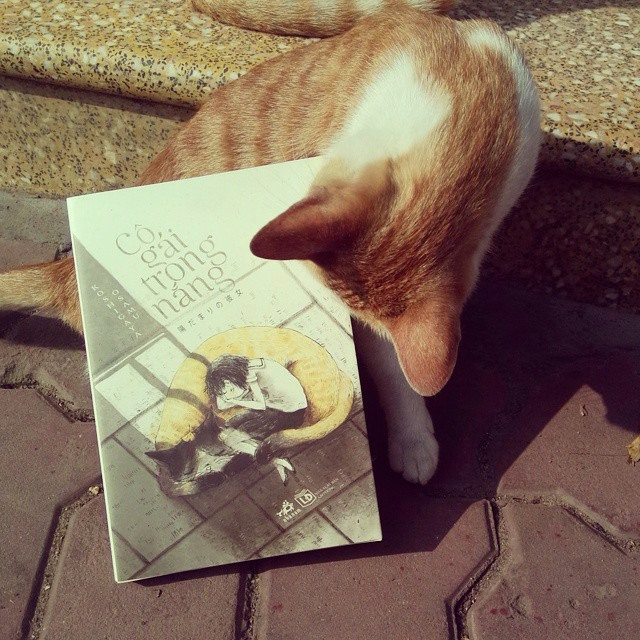 Review cô gái trong nắng